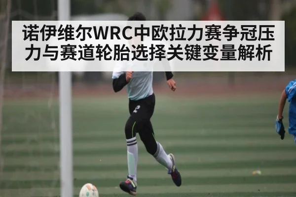 诺伊维尔WRC中欧拉力赛争冠压力与赛道轮胎选择关键变量解析
